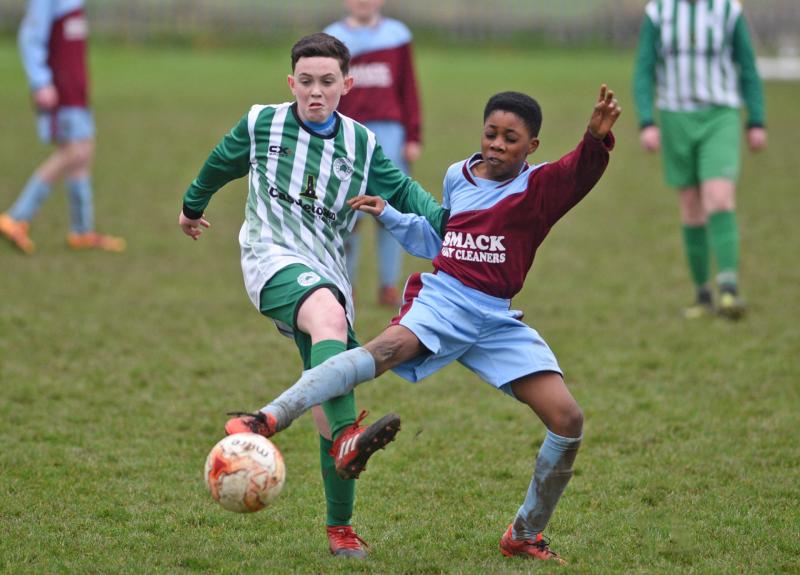 Six of the best for Shamrocks U14s