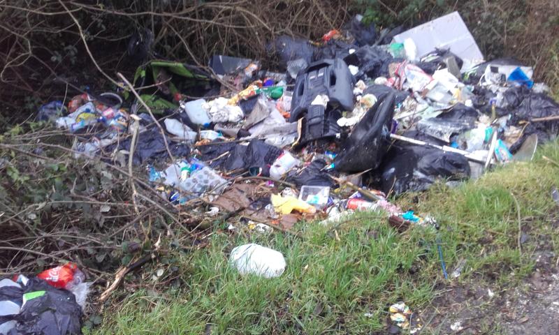 Minister Naughten cracks down on illegal dumpers in Louth