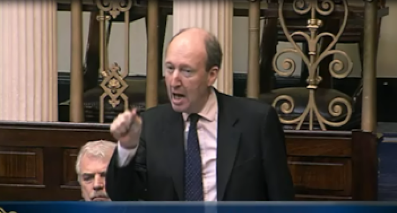 Shane Ross calls Louth TD a donkey during Dáil debate