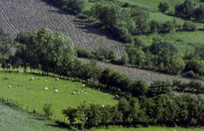 Louth has some of the lowest arable land prices report shows