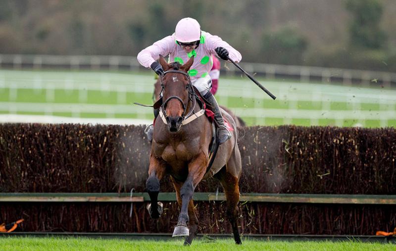 THE PUNTER'S EYE turns its attention to Cheltenham as countdown continues 