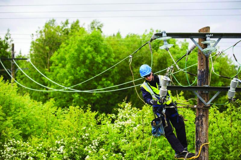 BREAKING: ESB warn of outages in Dundalk today