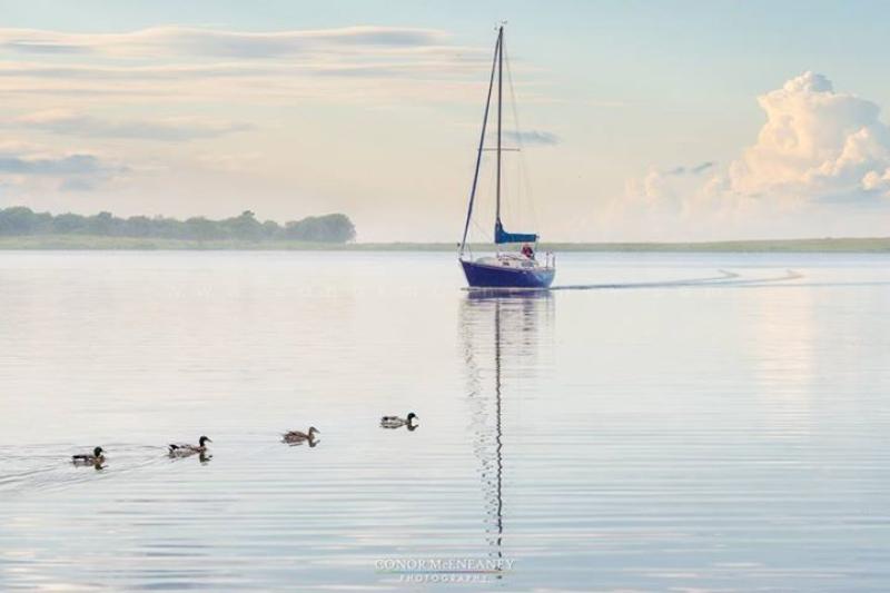 This stunning photo has been awarded Dundalk Photographic Society