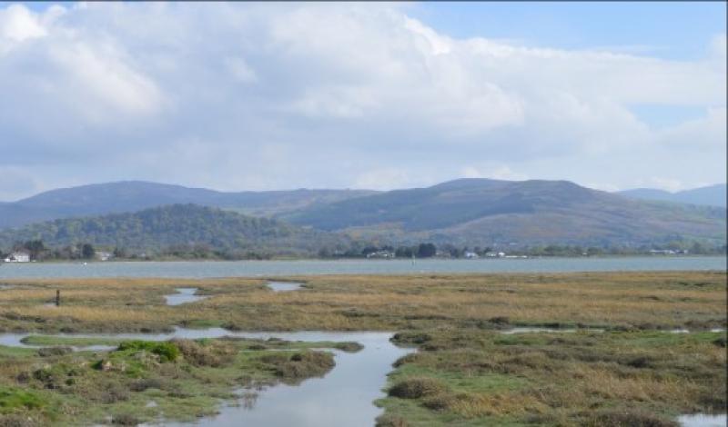 'Extremely high' risk of wildfires in Cooley mountains