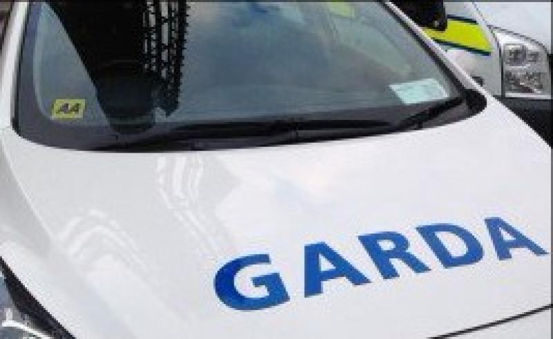 APPEAL: Gardaí appeal following hit and run incident on Louth road