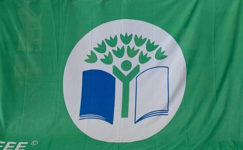 Dozens of Donegal schools awarded Green Flags