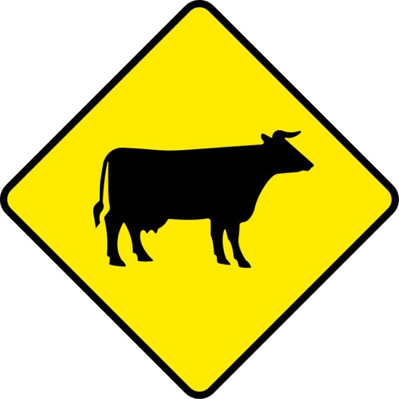 REPORT: Cattle blocking road in Knockbridge