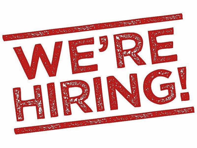 JOBS ALERT: Louth-based XOCEAN are hiring 
