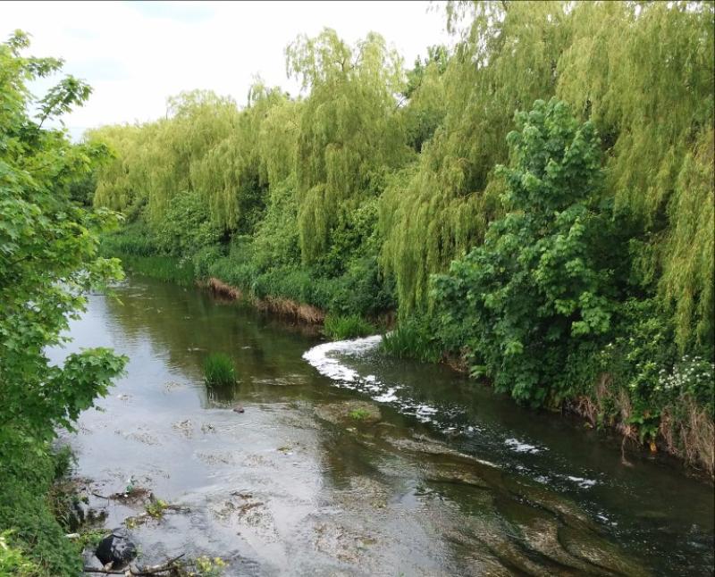 Ardee Foul Odour Addressed