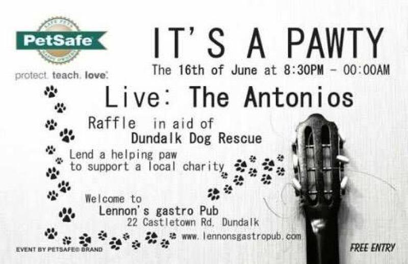 Dundalk Dog Rescue are having a Petsafe Pawty