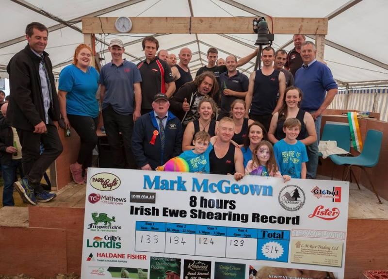 Ravensdale man sets Irish sheep shearing record