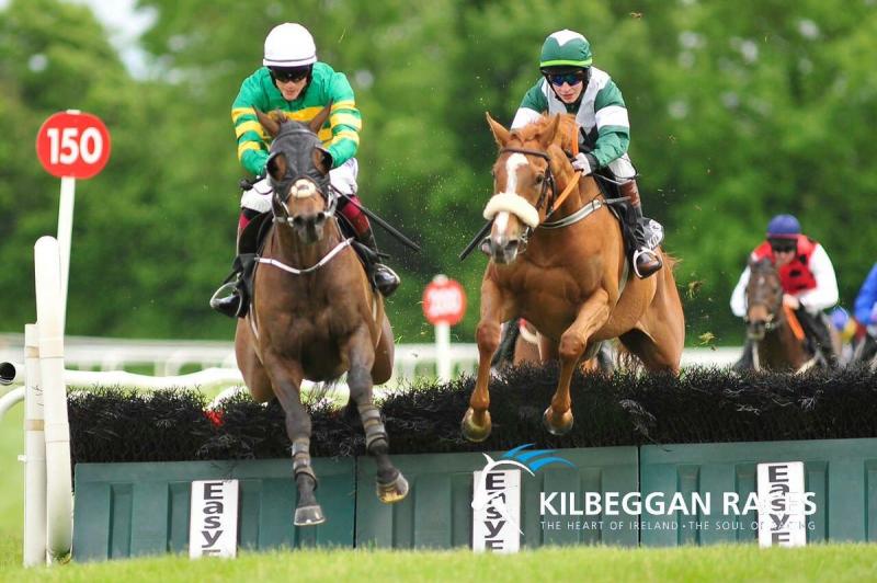 THE PUNTER'S EYE: Elliott provides a 'Canny' bet at Kilbeggan on Saturday