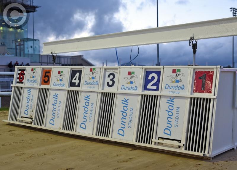Inside Track: Horse and greyhound racing remains among the 15th August attractions