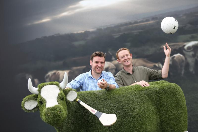 National Ploughing Championships
