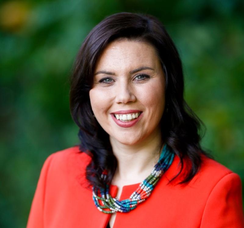 Louth Fianna F&aacute;il County Councillor calls for hard border following Brexit