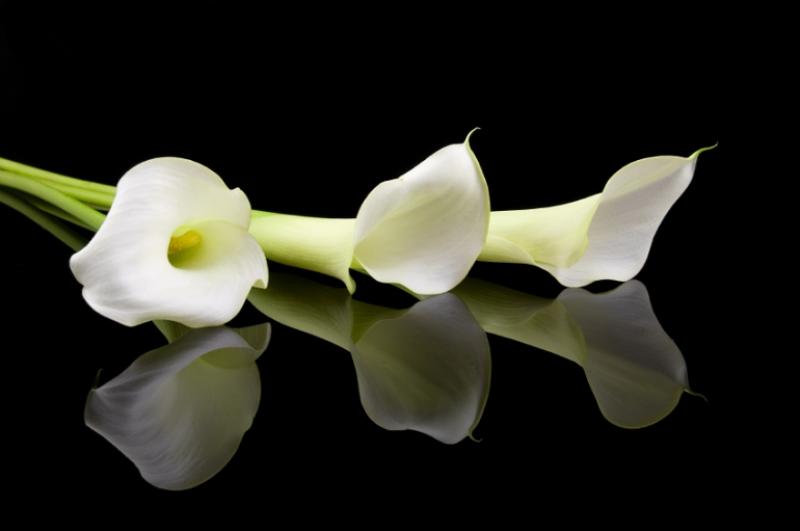Deaths in Dundalk - Saturday, October 28, 2017