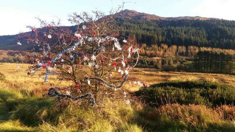 PHOTO: Christmas has come early to the wild hills of Omeath