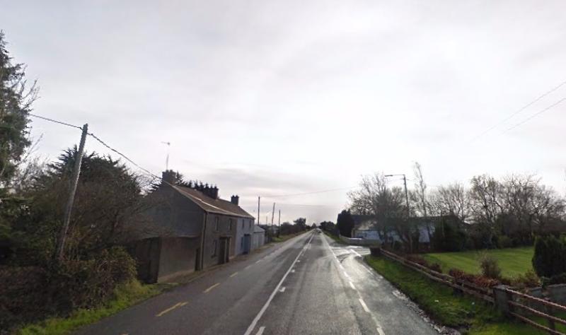 REPORT: Two 'large' goats on road outside Dundalk