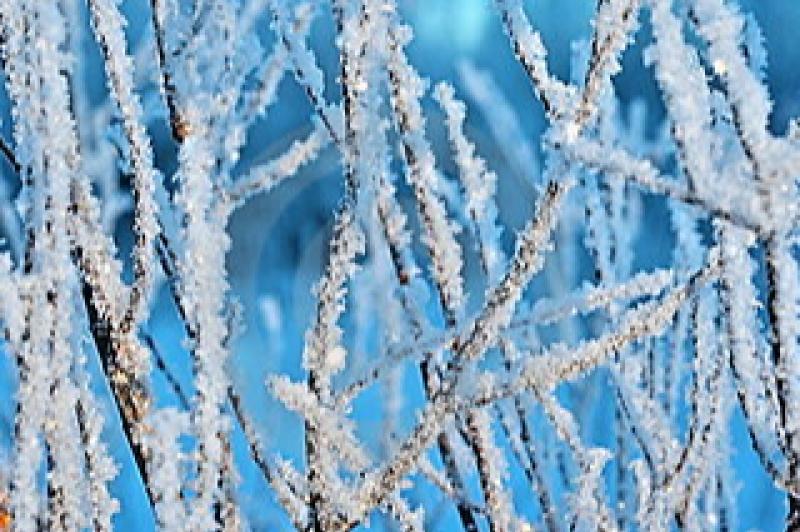 Wednesday's weather forecast for Louth 