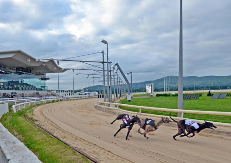 Locals, Arthur Boyle and Seamus Casey, aiming for success in this week's Dundalk Stadium feature, writes Joe Carroll