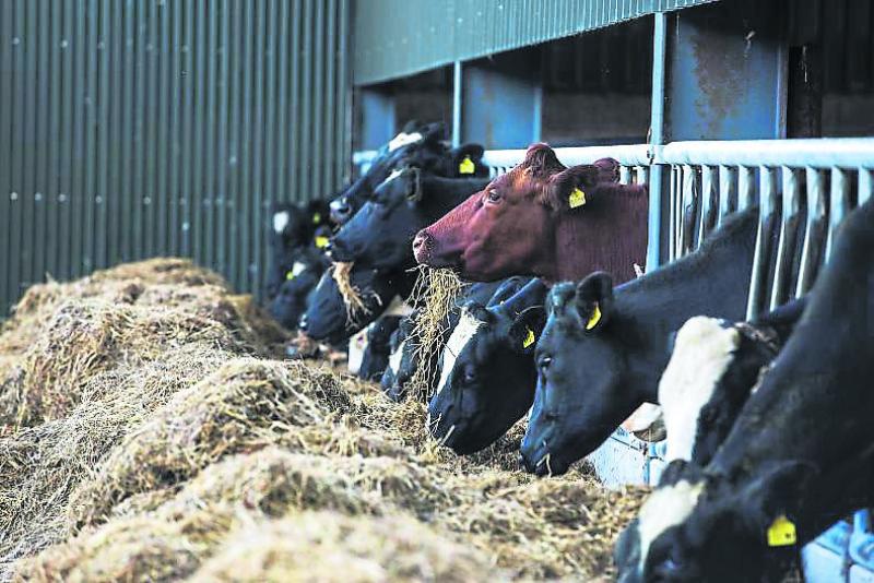 Over €2.4m for  Louth farmers under the Eco-Scheme 