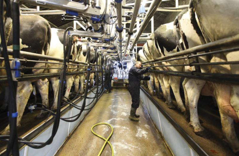 Louth IFA urges co-ops to hold milk price following challenging winter for farmers