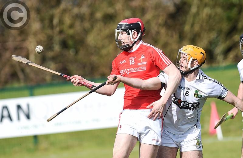 Louth hurlers denied Division 3A title as Warwickshire prevail thanks to late scoring burst