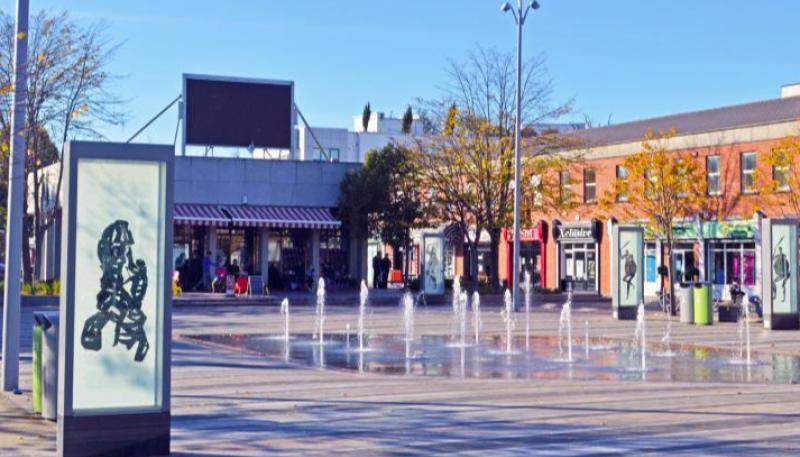 Dundalk Tidy Towns appeal for help as they are nominated for Ireland's best kept town