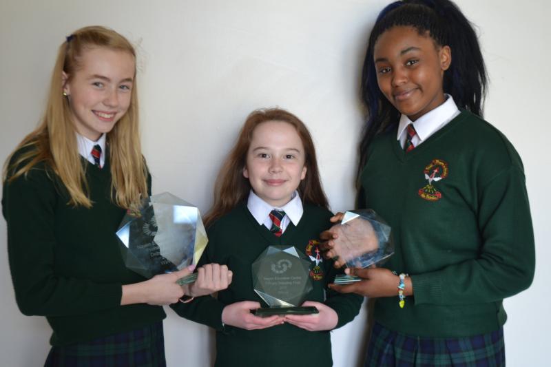 Ardee girls land regional debating title