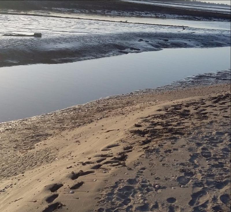 Calls for Council to act after Louth beach incident