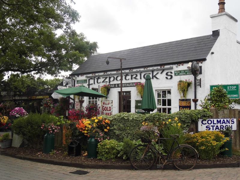Fitzpatrick's Bar and Restaurant goes on the market for sale