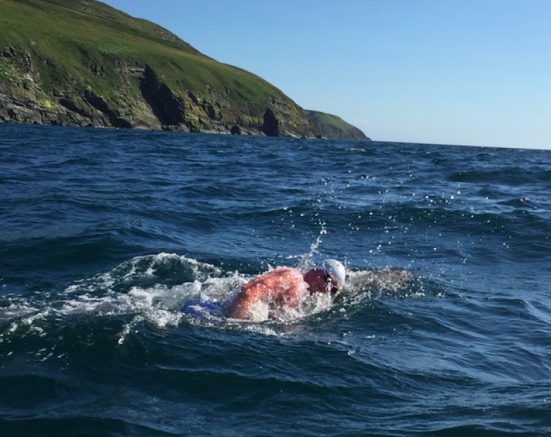 Take a Swim on the Wild Side