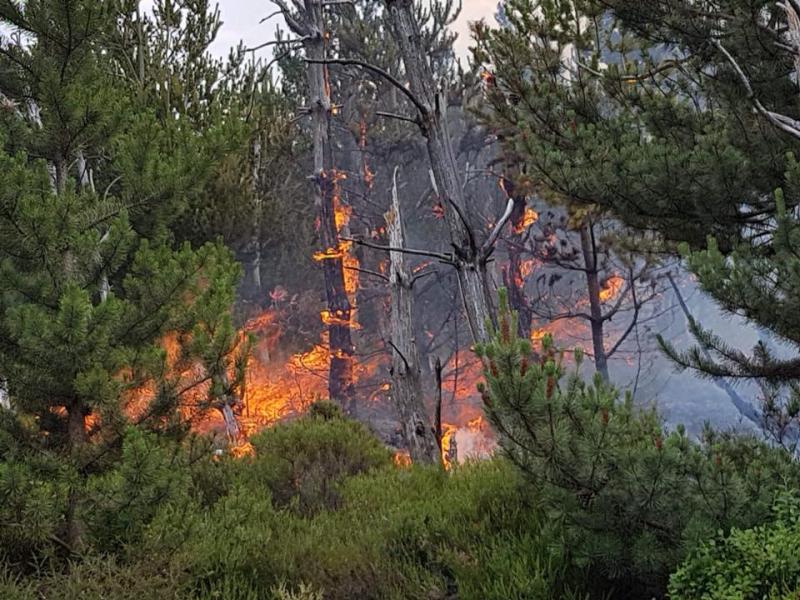 Appeal to public  in Louth on High Fire Risk Warning