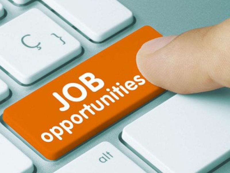 JOBS ALERT: Shop Joiners wanted for Louth Timber Products Ltd