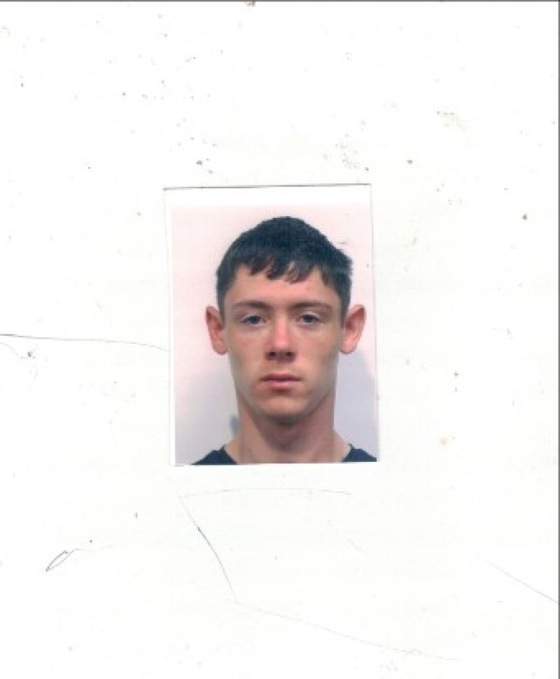 Louth gardaí make appeal for missing person
