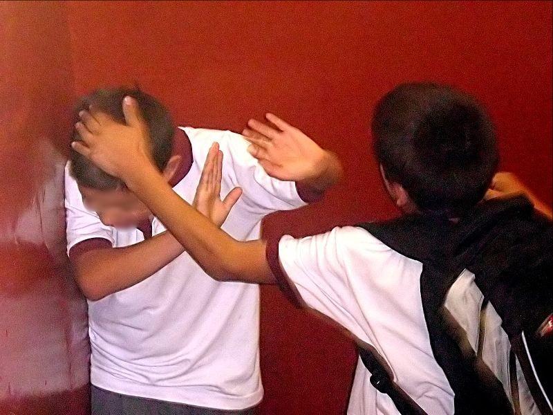 New anti-bullying programme for primary schools launched today in Louth and Monaghan