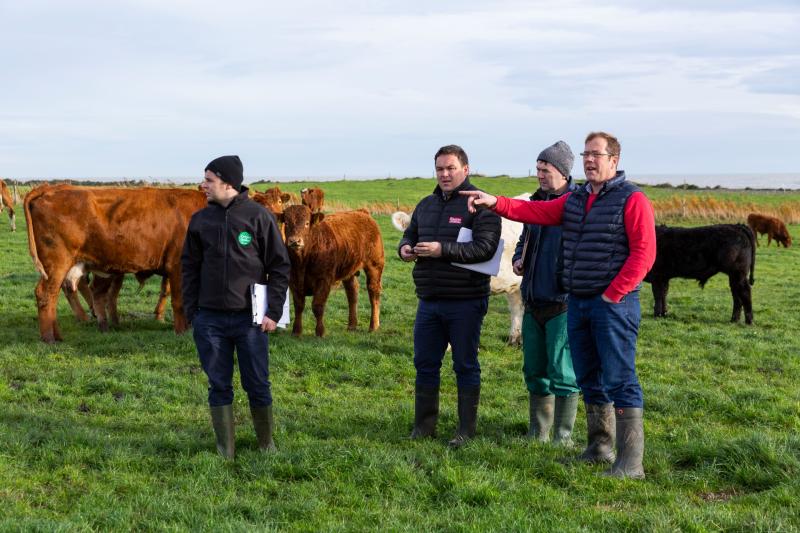 Two Louth beef farmers shortlisted for Bord Bia’s Origin Green Farmer Awards