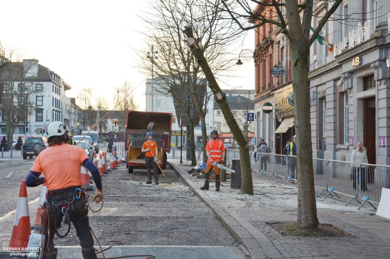 PHOTOS: Trees cut down on Clanbrassil Street in Dundalk today