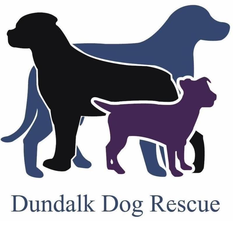 Cash boost for animal welfare organisations announced