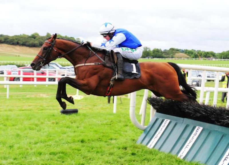 'They may have a defibrillator on standby...' - Inniskeen's Daniel McGahon has a charge running in today's Cheltenham opener