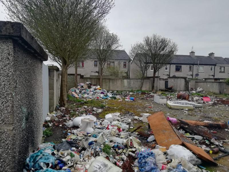 Before and after: Major dumping clean-up completed in Dundalk