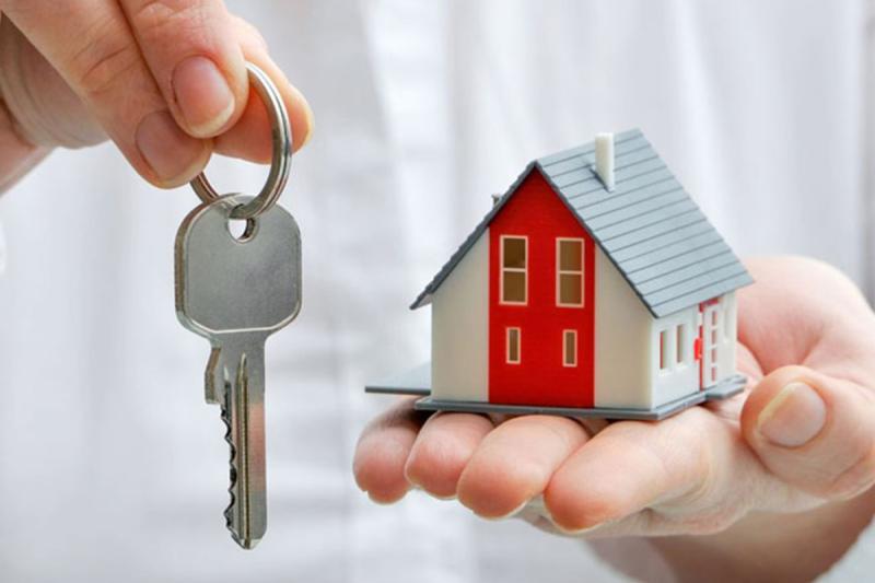 No Consent No Sale motion passed at Louth County Council meeting