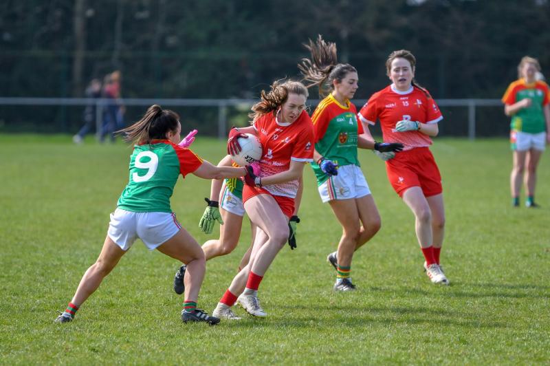 Louth wary of Derry challenge, but momentum is on their side ahead of Clan na Gael Park clash