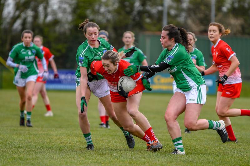 Louth finish top of Division Four after seeing off Fermanagh for sixth successive victory