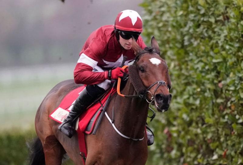 INSIDE TRACK | Grant National winner Tiger Roll another star to cover Dundalk Stadium course