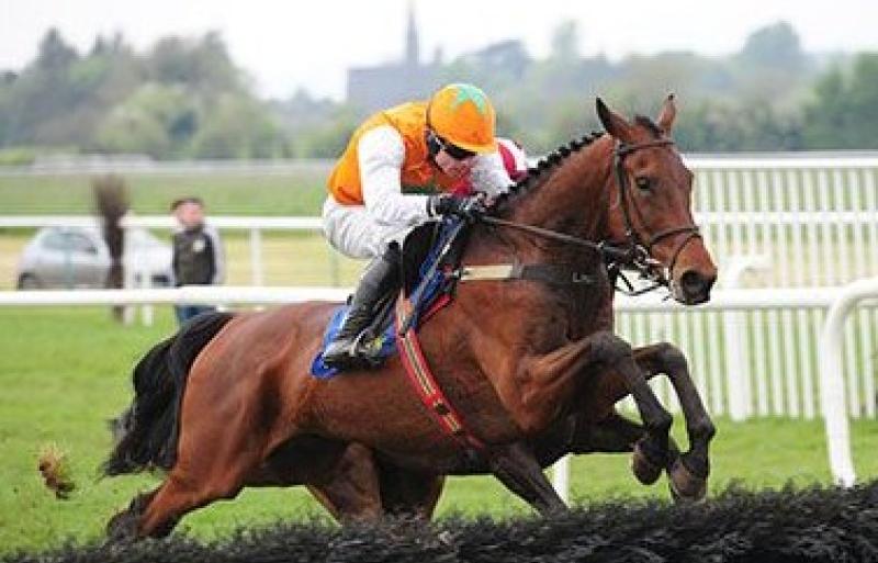 Irish Grand National Tips - Three horses worth backing in the Fairyhouse feature