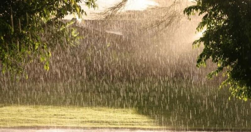 Friday's weather forecast for Louth