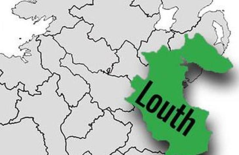 Explainer: Guide to 2019 Louth local elections