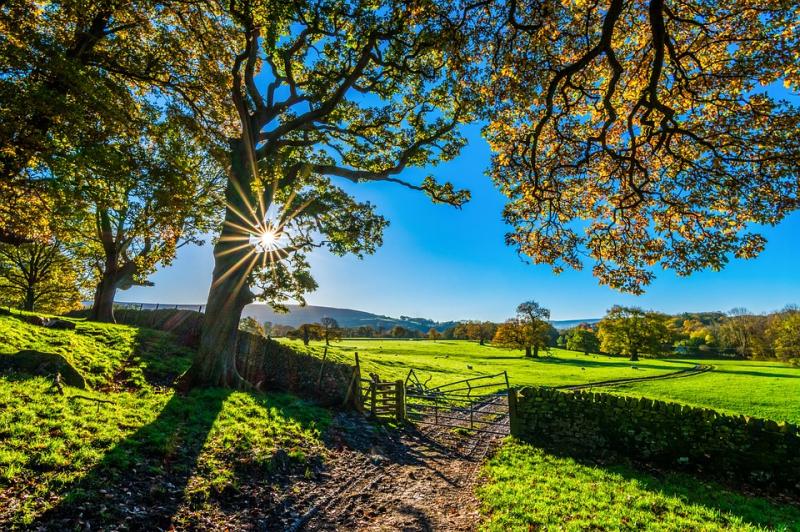 Almost €2.5mil in Louth eco scheme payments