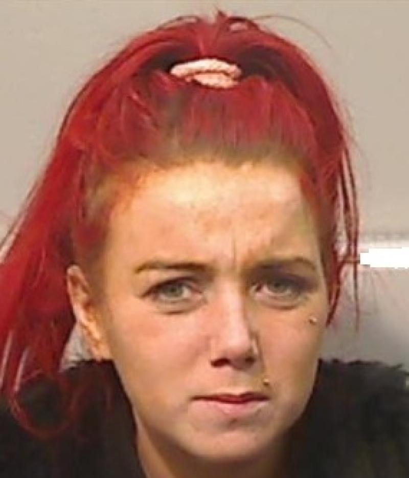 Garda and PSNI search for missing Belfast woman in North Louth forest 